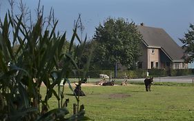 Bed & Breakfast 'Op 7'